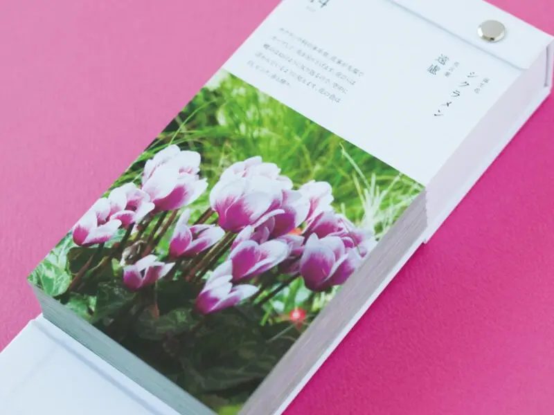 Pre-Order 2026 Birthday Flower Calendar Day To Day 366