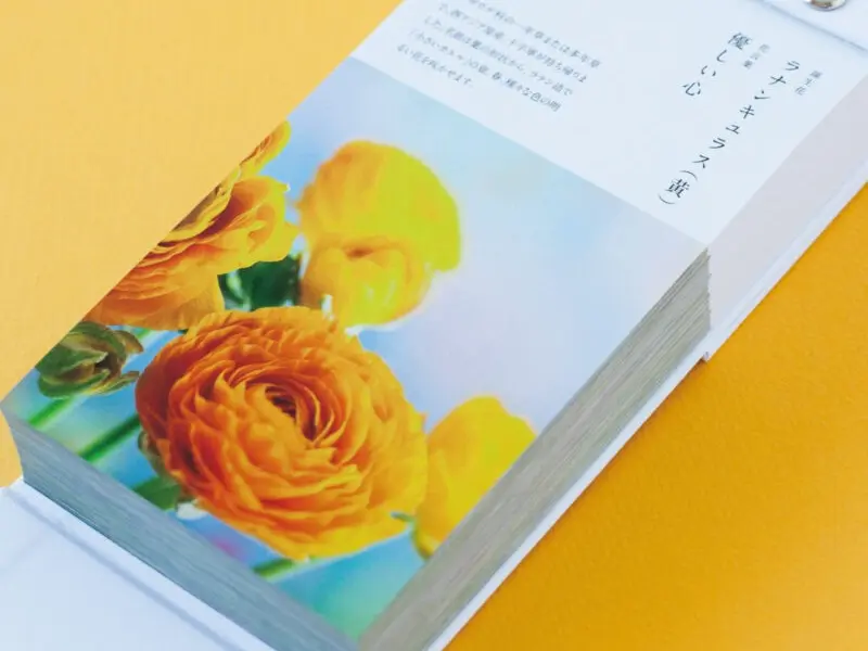 Pre-Order 2026 Birthday Flower Calendar Day To Day 366