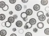 LCN Rubber Stamp Set - Flower Meanings