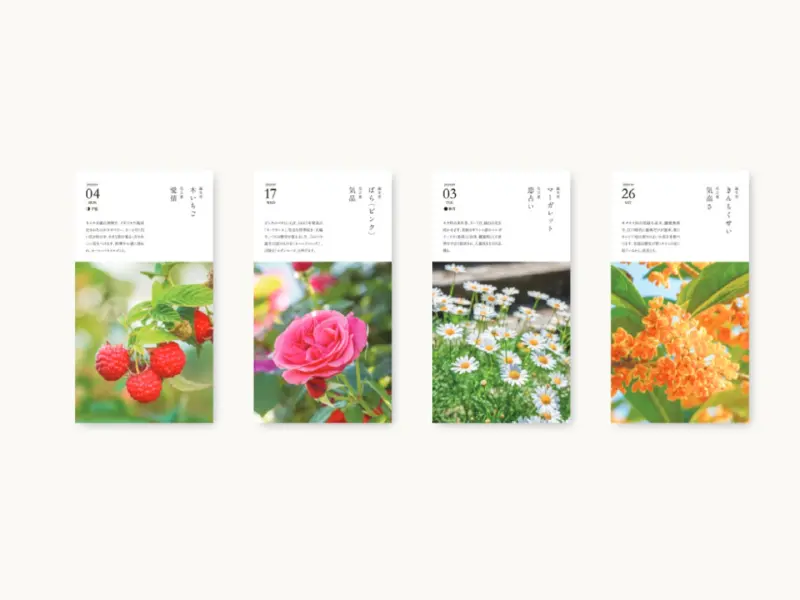 Pre-Order 2026 Birthday Flower Calendar Day To Day 366
