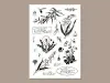 OURS De Fleur Clear Stamp Sheet