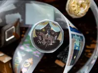 OURS Matte PET Tape - Wayfarer 2