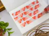 Saien x Common Modern Washi Tape - Ginkgo