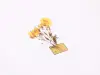 Appree Rub-On Stickers - Botanical Yellow