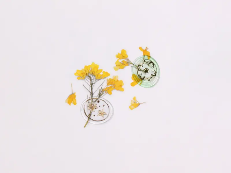 Appree Sealing Wax Stickers - Pure Green