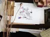 Kurukynki Blindxx AB Stamp Set