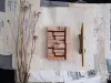 Kurukynki Blindxx AB Stamp Set