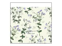 EL COMMUN Square Memo Pad - Sweet Pea