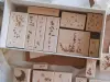 Jeenzaa Zoey Rubber Stamp Moon Shadow - Falling Petals