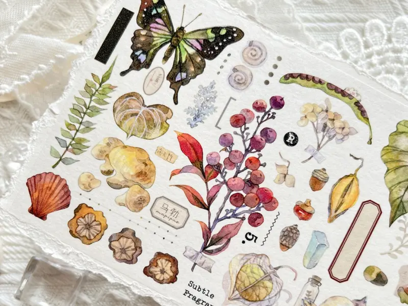 Baicangjia Studio Washi Tape - Specimen Collection