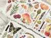 Baicangjia Studio Washi Tape - Specimen Collection