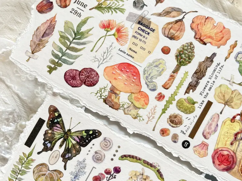 Baicangjia Studio Washi Tape - Specimen Collection