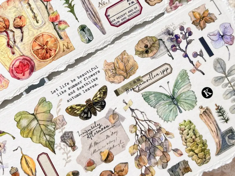 Baicangjia Studio Washi Tape - Specimen Collection