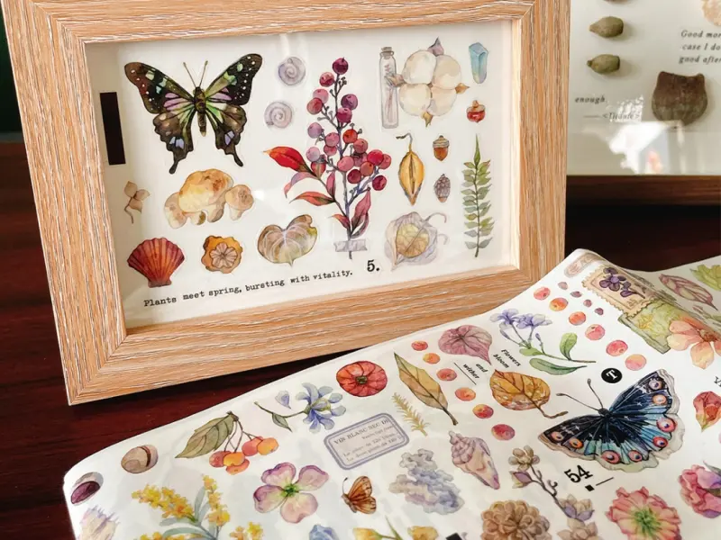 Baicangjia Studio Washi Tape - Specimen Collection