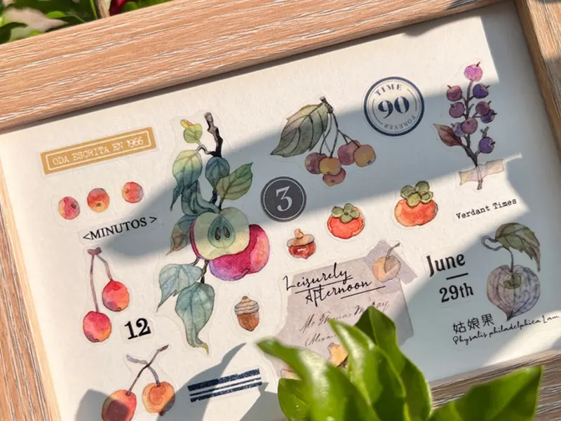 Baicangjia Studio Washi Tape - Specimen Collection