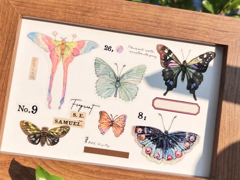 Baicangjia Studio Washi Tape - Specimen Collection