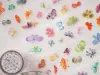 Wanle Studio Vol.8 Kiss-Cut PET Tape - Butterfly