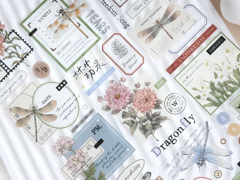 Xiaobaijia Clear PET Tape - Old Dreams