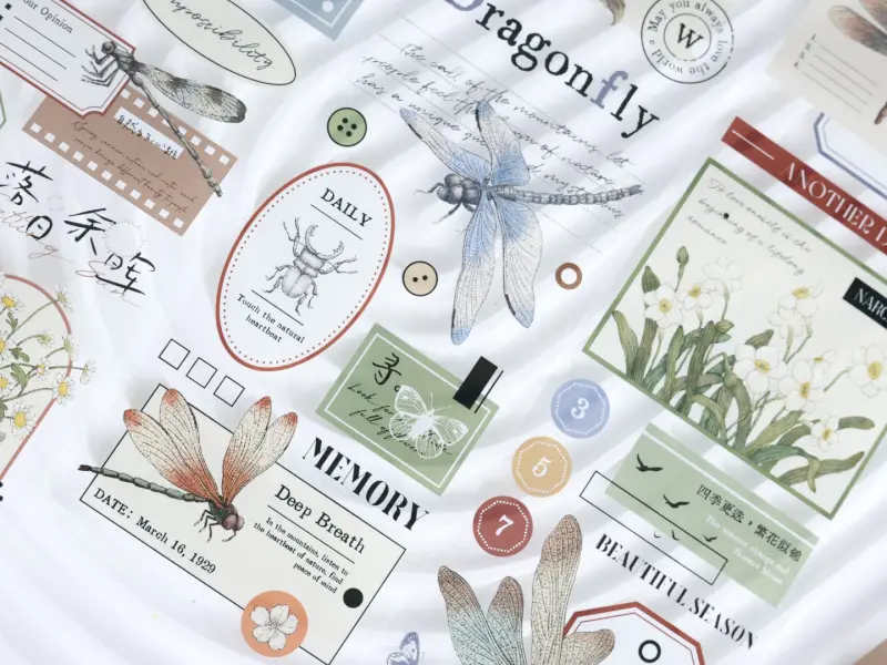 Xiaobaijia Clear PET Tape - Old Dreams