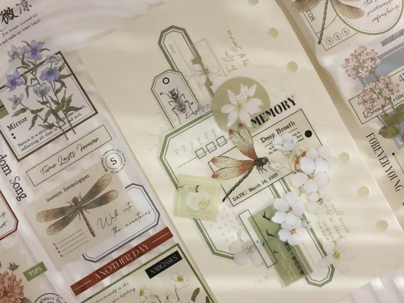 Xiaobaijia Clear PET Tape - Old Dreams