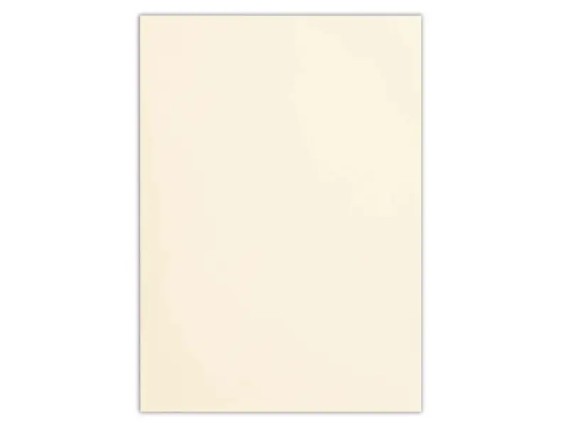 NB Co. Western Size 2 Envelope Set