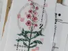 Pre-Order Lin Chia Ning Matte PET Tape - Flower No.1