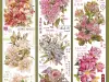 Daily Life PET Tape Sample - Chaohuaji 2