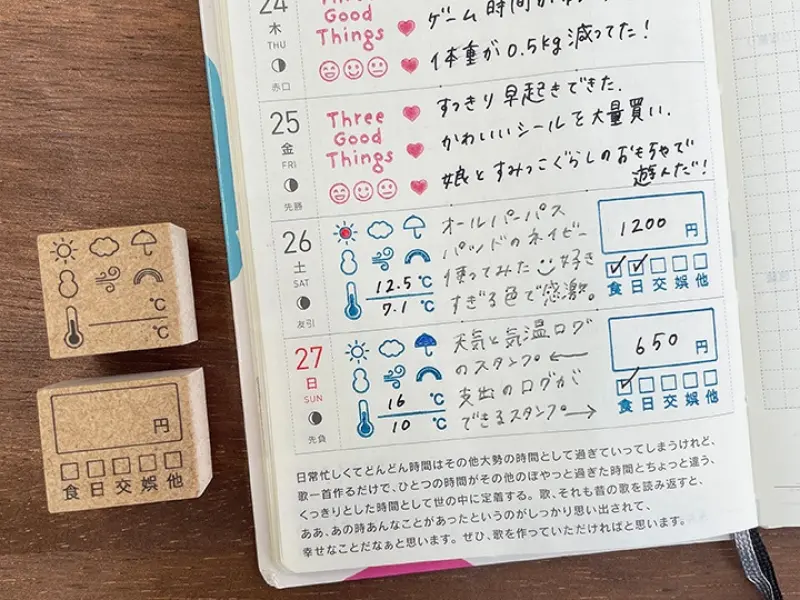 Stamp Marche Rubber Stamp - Weather Record