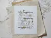 Pre-Order LCN Clear Background Stamps - Splashes