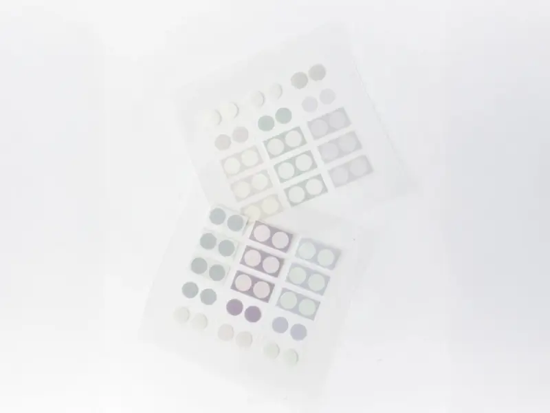 Nyret PET Stickers - Dot Pastel