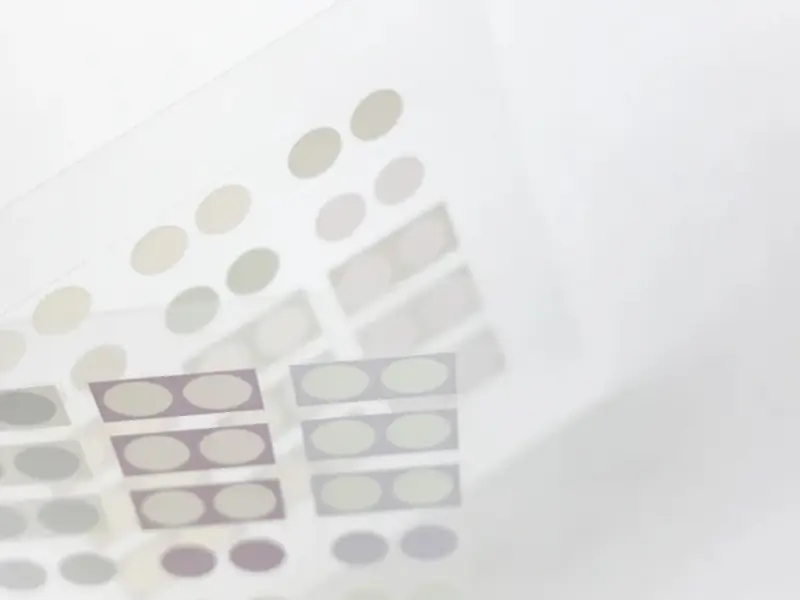 Nyret PET Stickers - Dot Pastel