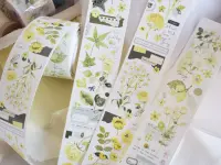 Wildberry Lab Tape - Dot Green