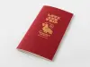 Traveler's Notebook Refill Limited Edition Standard Size - LOVE AND TRIP