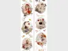 Mist Studio Washi Tape Sample - Old Fairy Tale