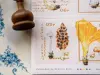 OURS Stamp Sticker Set - Mushroom Recipe