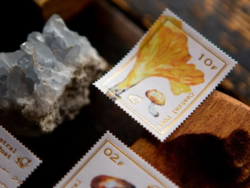 OURS Stamp Sticker Set - Mushroom Recipe