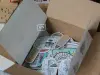 LCN Sticker Club - a Box Full of Joy Stickers