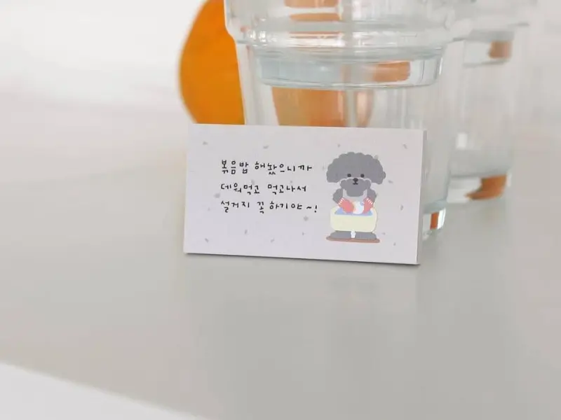 Suatelier Stickers 1159 - Cleaning Day