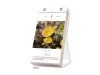 Pre-Order 2026 Birthday Flower Calendar Day To Day 366