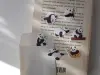 Suatelier Flake Stickers No.302 - Baby Panda
