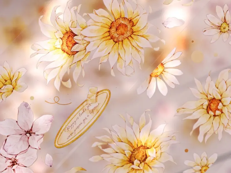 Xiaobaijia Tape  - Soft Amber Glow