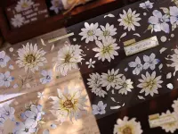 Xiaobaijia Tape  - Florence Daisy