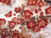 Xiaobaijia Tape  - Hollyhock