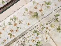 Xiaobaijia Tape - Orange Jasmine