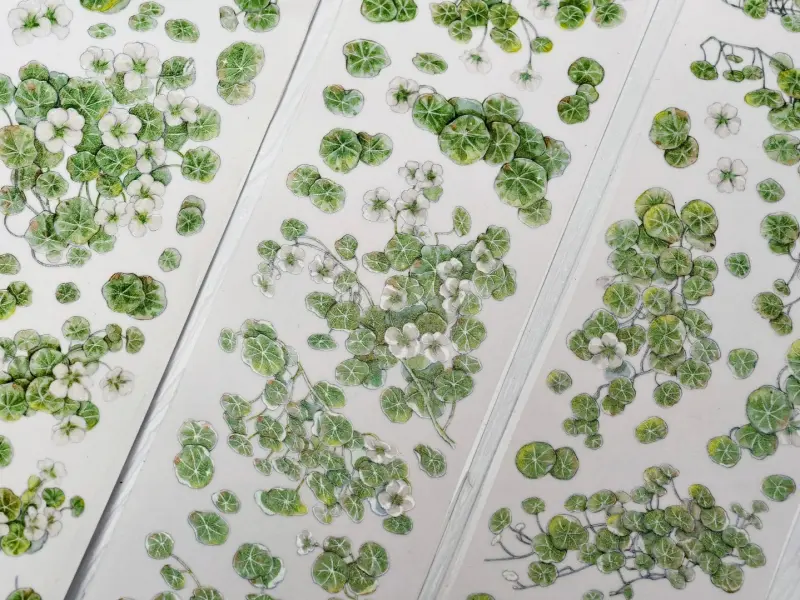 Zhaoxi Studio PET Tape Sample - Early Nasturtium