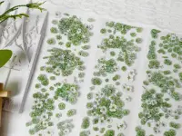 Zhaoxi Studio PET Tape Sample - Early Nasturtium