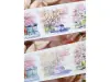 Tournesol Washi Tape Sample - Cherry Town at Dusk