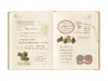 MIDORI HIBINO Diary 2026 A6 Two-Pages-Per-Day Planner - Grey Limited