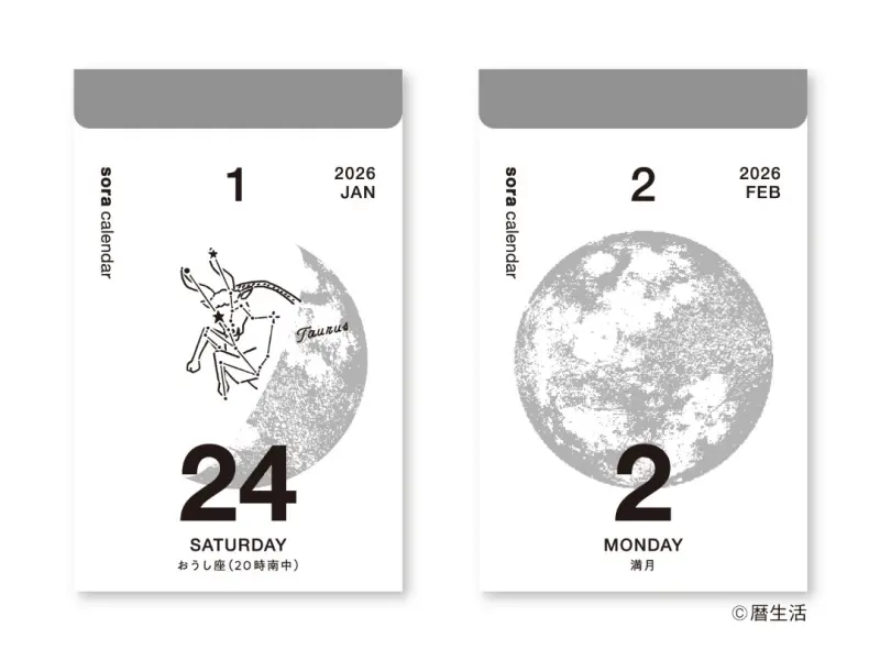 2026 Sora Daily Calendar 365 Days - Small