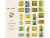 Miaostelle Washi Tape - Autumn Travel 2